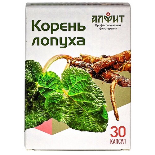 ������ ������ ���������� ����� ������ ������ ����., 30 ��. ����