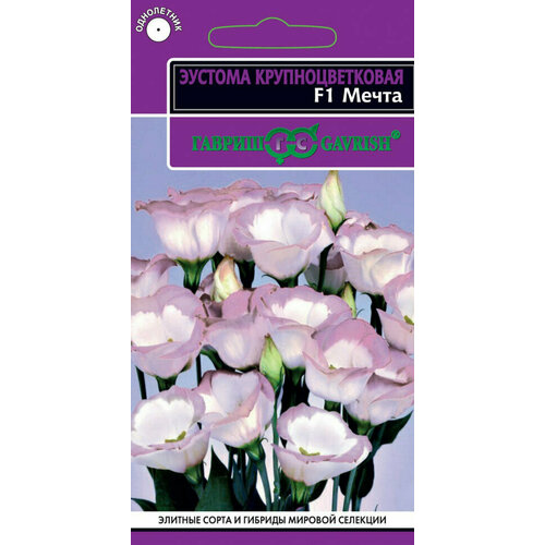 ������ ������ ������ ������� ����� F1, 4��, ������, 10 �������� ����