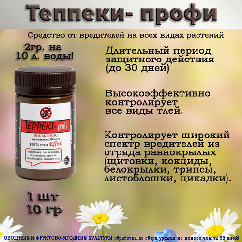 ������ ������ ������� 1 �� ����