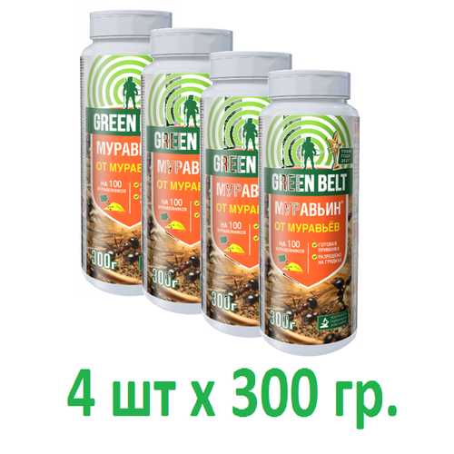 ������ ������ �������� 300 ��. 4 �� ����