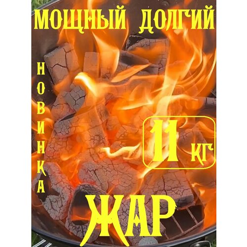 ������ ������ ����� � �������� 11 ��, ������, � �������. ����