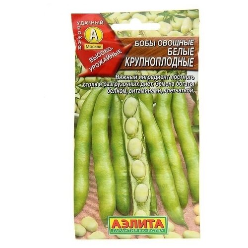 ������ ������ ���� ������� 