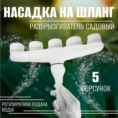 ������ ������ ������� �� ����� ��� ������ 5 ����, ��������������� ������� ����