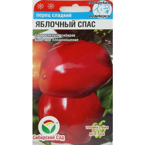 ������ ������ ����� �������� ���� ����