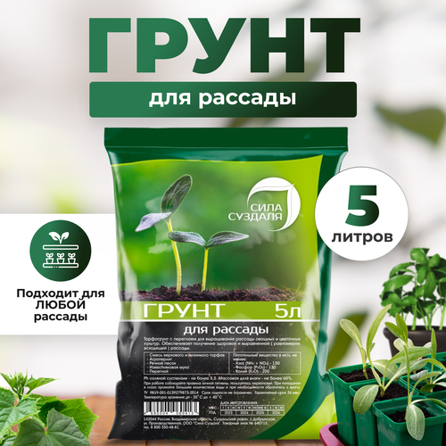 ������ ������ ����� (�����) ��� ������� ���� �������/ ����������� ������, 5 � ����