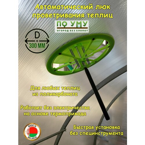 ������ ������ �������� ��� �������, ����������� ��� ������ , ������� 300 ��. ����