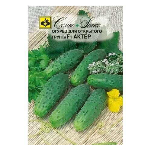 ������ ������ ������ ����� F1, ������ ����� 1� ����