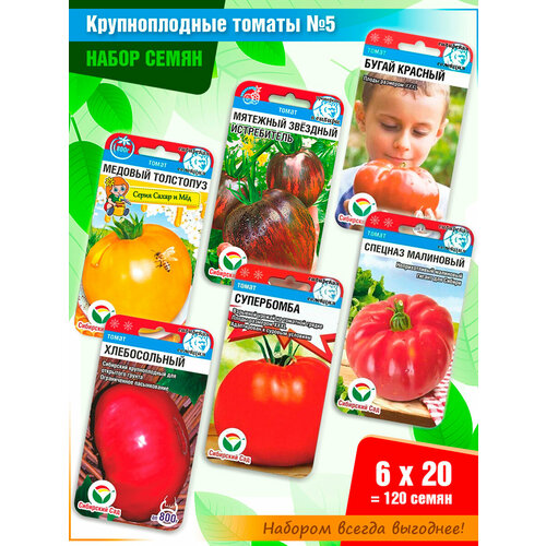 ������ ������ ����� ����� ������� 