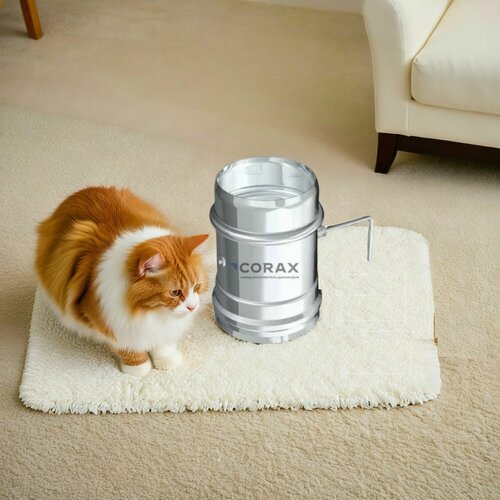 ������ ������ ����� ��� �������� �� ����. ����� 