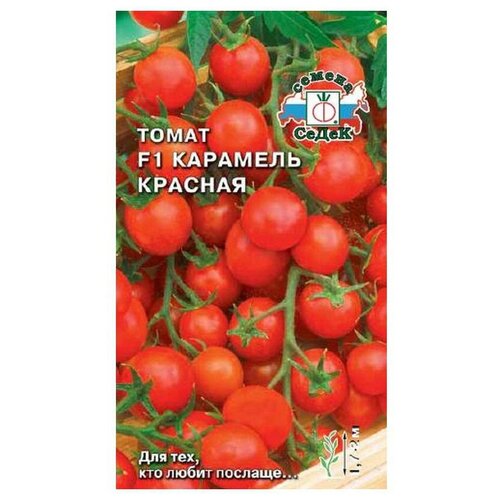 ������ ������ ������ ����� ����� �������� ������� F1 ����