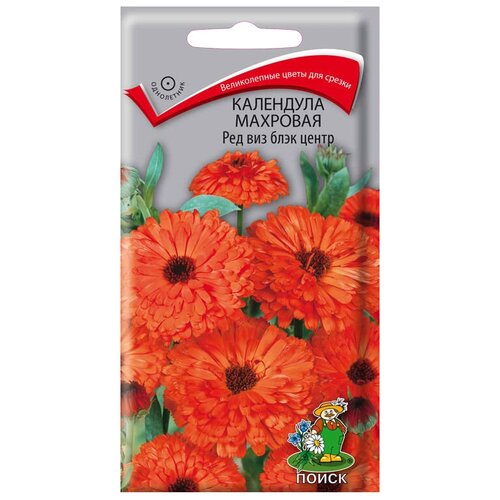 ������ ������ ������ ����� ��������� �������� ��� ��� ���� ����� 0.4 � ����