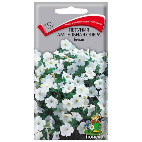 ������ ������ ������ ����� ������� ��������� ����� ����� 5 ��. ����