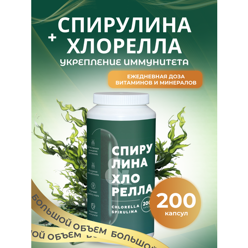 ������ ������ ��������� � �������� � ��������, 200 ������, �������� ��� ������� � �������� ����