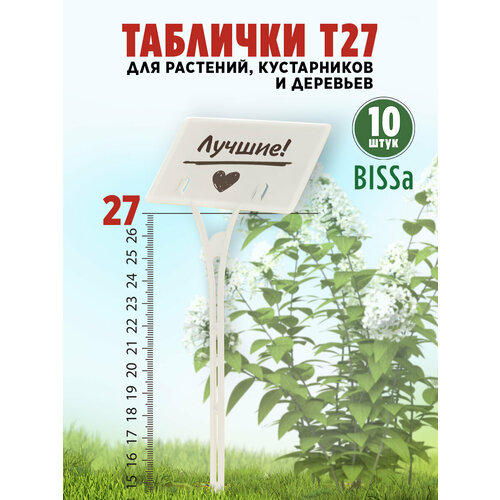 ������ ������ ������� �������� ��� ��������, Bissa �27, �����, 10 �� ����