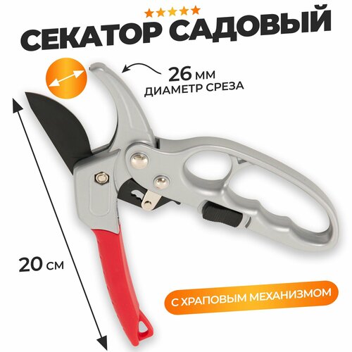 ������ ������ ������� ������� � �������� ���������� ����