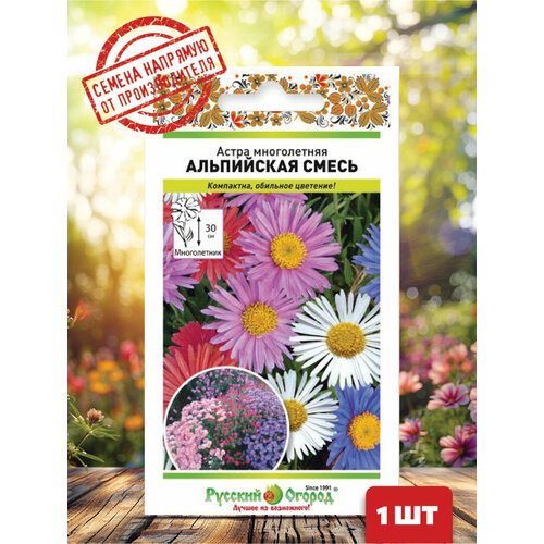 ������ ������ ����� ����������� (���������� �����) ����