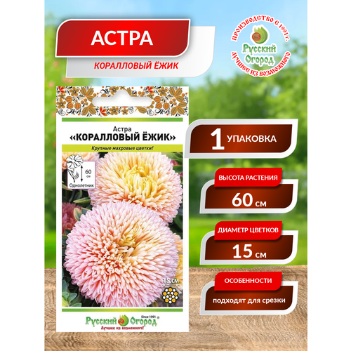 ������ ������ ����� ���������� ���� ����