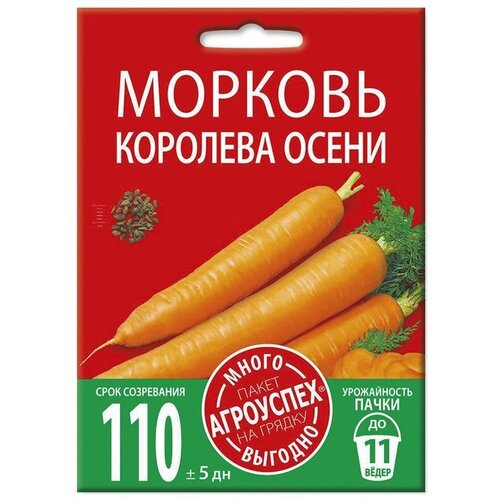 ������ ������ ������� �������� �����, ������ ��������� �����-������� 6� ����