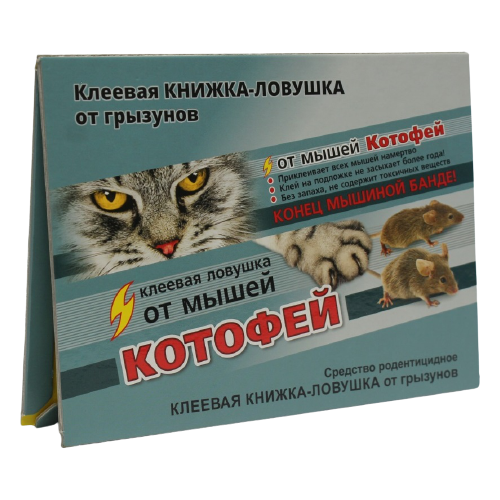 ������ ������ ������� ������� ���� ��������� ������� ������-������� (30 ��.�.) ������ 1 ��. ����