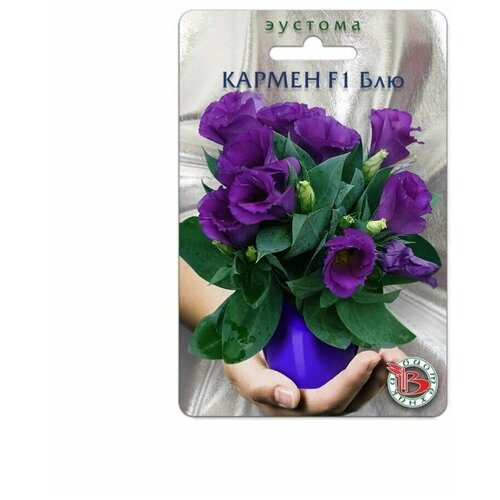 ������ ������ ������ ������� (����������) ��������� 