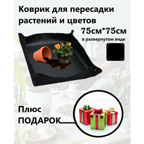 ������ ������ ������ ��� ��������� �������� � ������ ������ ����