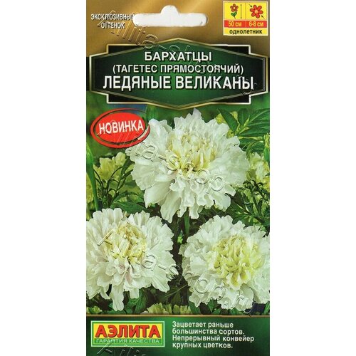 ������ ������ ������ �������� ������� �������� ������������ 7��. (������) ����