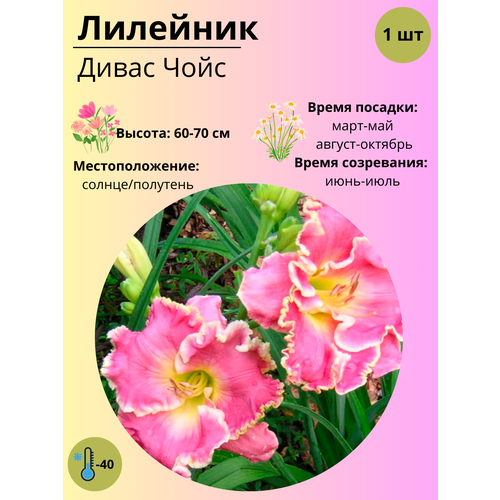 ������ ������ �������� ����� ����, ����������� ����� / ������ 1 �� ����