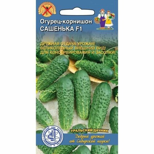 ������ ������ ������ ������ �������� F1 �������� (������������������) 10�� ����