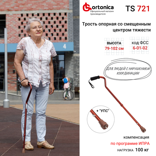 ������ ������ ������ ����������� �� ��������� ������� ������� ����������� Ortonica TS 721 � ��� ������ ����