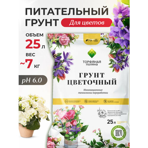 ������ ������ ����� ��� ������, ����� ��� ������� ������������� 25 � InHome Green ����