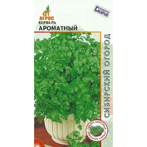 ������ ������ ������ ������� ��������� 0,5� (�����) ����