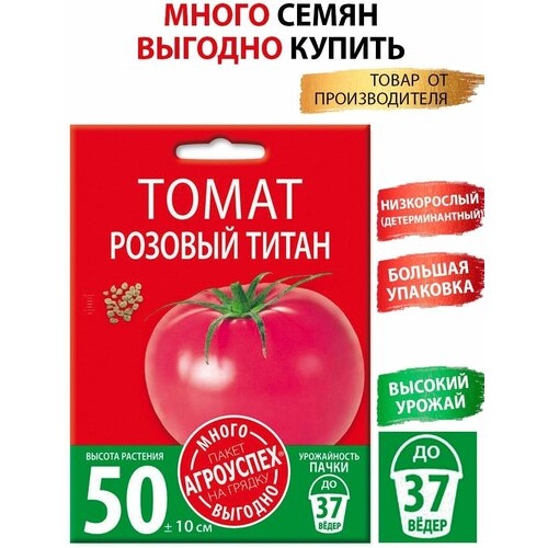 ������ ������ ����� ����� ������� , ������ ��������� �����-������� 1� ����