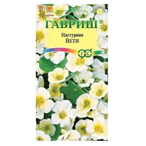 ������ ������ ������ ������ ��������� ���� 1 � ����