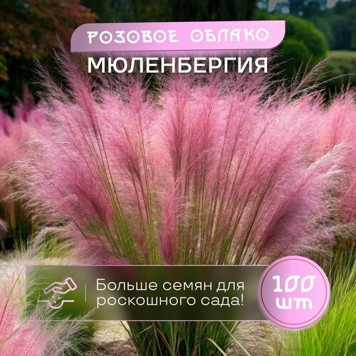 ������ ������ ����������� ������� ����� ������ 100 �� ����������������� ������ ����