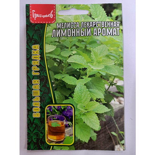 ������ ������ ������� ������������� �������� ������ 0,2 � ( 2 ��) ������ ������ ����