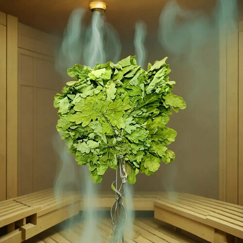 ������ ������ ������� ����� 