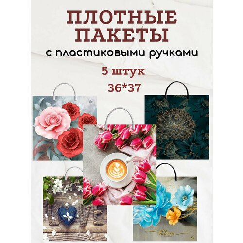 ������ ������ ����� � ����������� ������ ������� ����� 5 �� ����