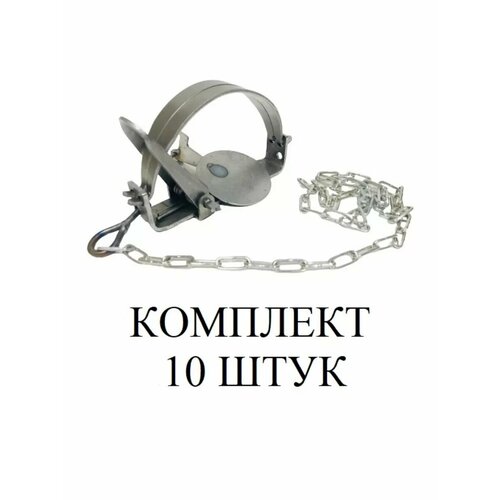 ������ ������ ������ 