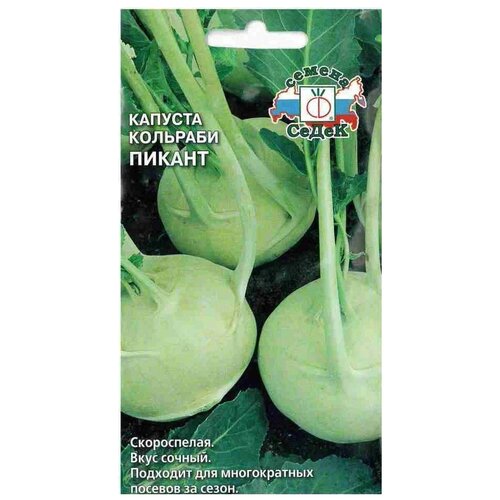 ������ ������ ������ ����� ������� �������� ������ ����