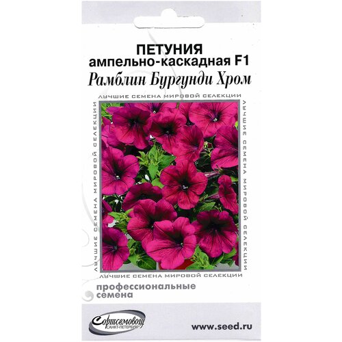 ������ ������ ������� ��������-��������� F1 ������� �������� ����, 5 ����� ����