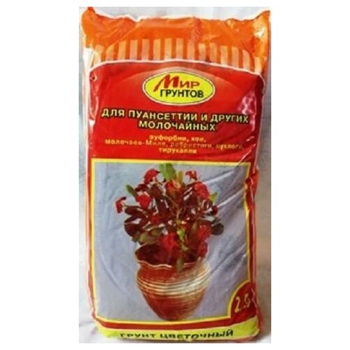 ������ ������ ����� ��� 