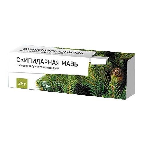 ������ ������ ����������� ����, 25 � ����