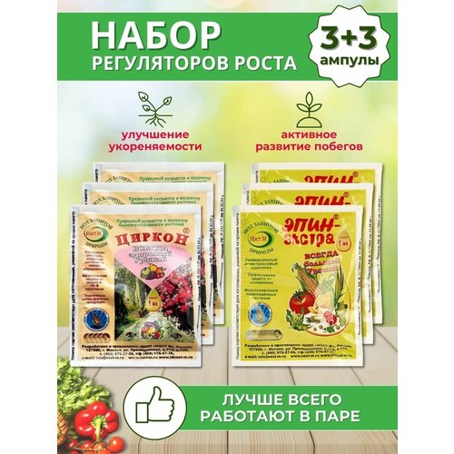 ������ ������ ����� ����������� ����� ������+����-������ , �������� 6 �� �� 1 �� ����