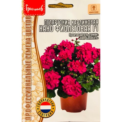 ������ ������ ������ ���������� ���������� 