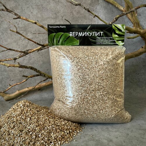 ������ ������ ���������� ��� ��������� �������� ������������ ������ 4 ����� ����