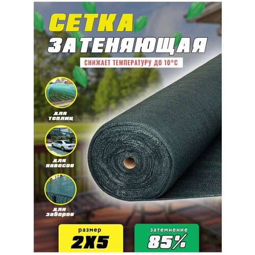 ������ ������ ����� ���������� �������, ��������� 85%, ������ 2�5� ����