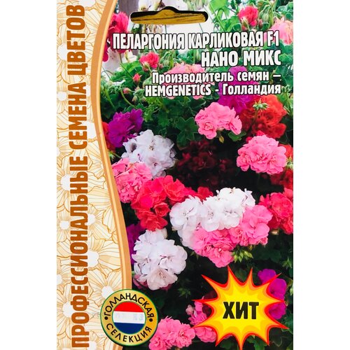 ������ ������ ������ ���������� ���������� 