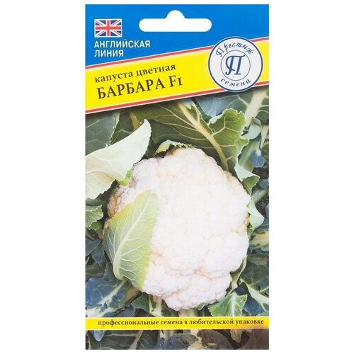 ������ ������ ������ ������� ������� 