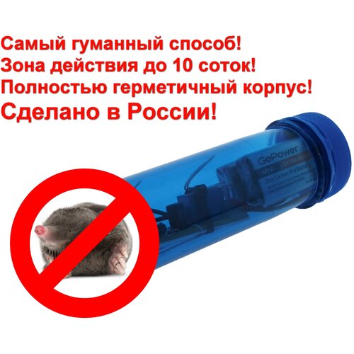 ������ ������ ����������� ������������ ������ ����