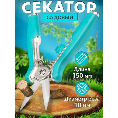 ������ ������ �������� ��� ������� ����